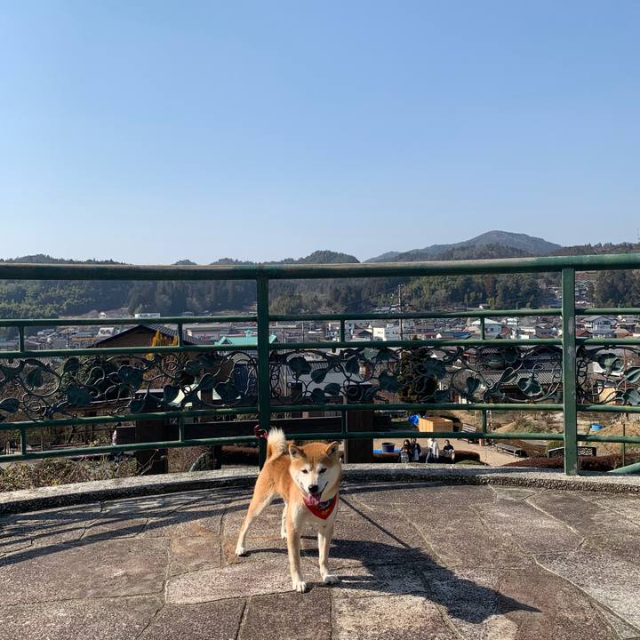 7a41fa5a 9d45 4eb3 ae0d b6c2a70ba06f 1614069860563