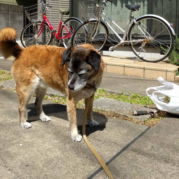 7a41fce9 163b 48e8 90c0 983a49cbb946 1522374278138