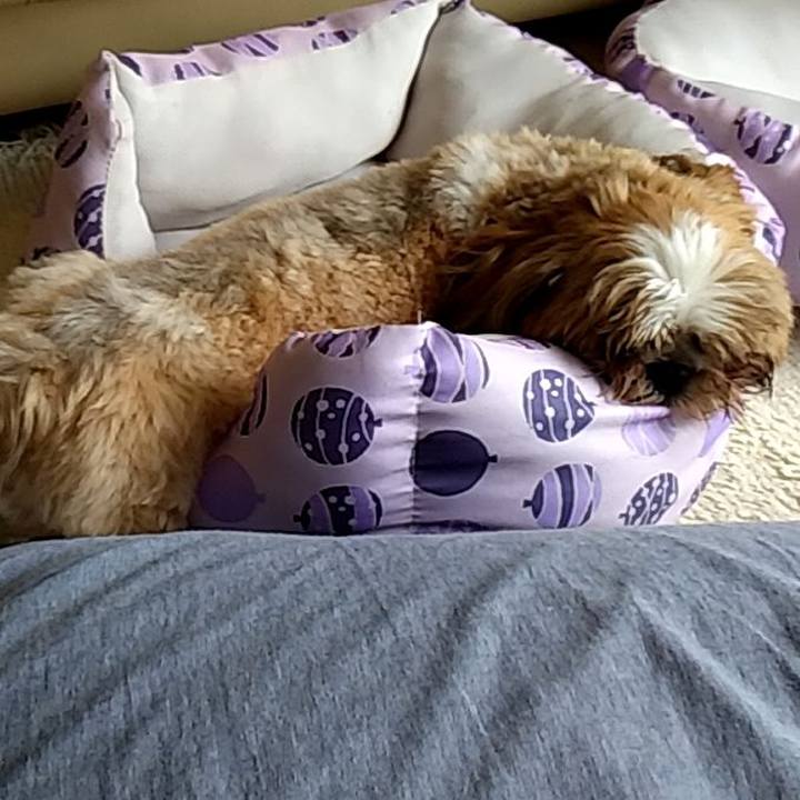 7a420ec1 4168 4ee3 b24f 122b3003d716 1592014452264