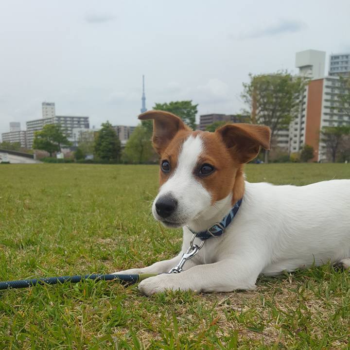 7a421110 9b98 4778 be68 82bfa07b4b77 1555484612251