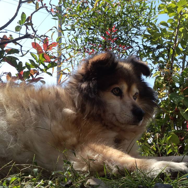 7a4251ba edfe 43fe 888f 889b13c4d4c4 1598680398264