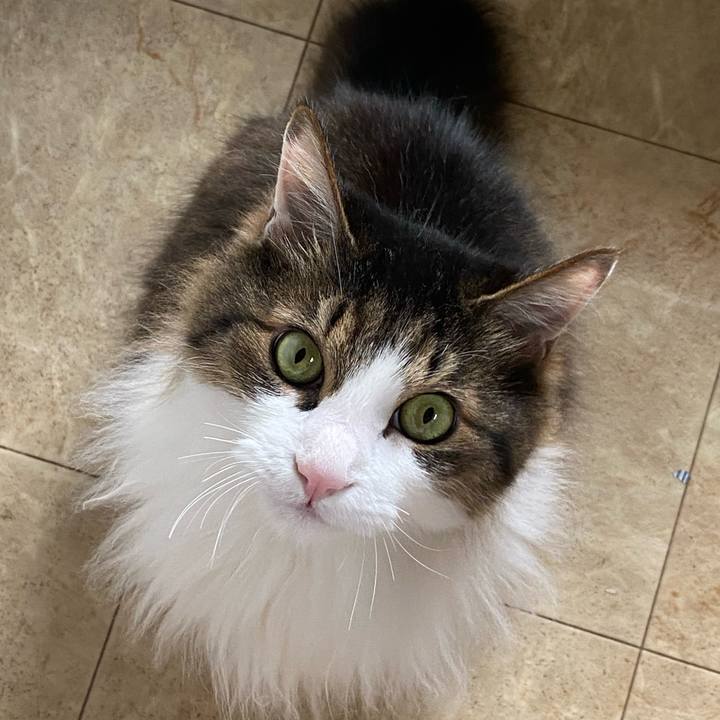 7a426d98 bd1c 4ae9 b30b cddd983651cf 1690245317196