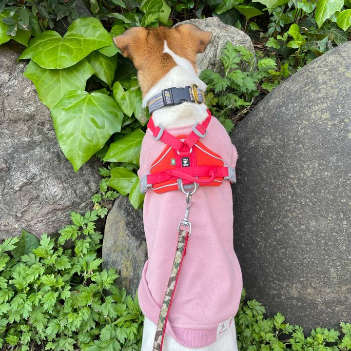 7a428c7b f40e 4914 b128 0db1357755d7 1681294139778