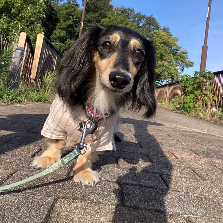 7a4293cf 3704 47d2 bfc0 80f8553b7b5c 1758583348016