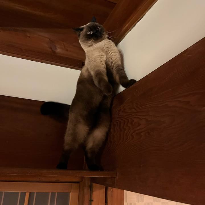 7a42a9c6 948e 49fd a426 7a6857f06958 1670145547697