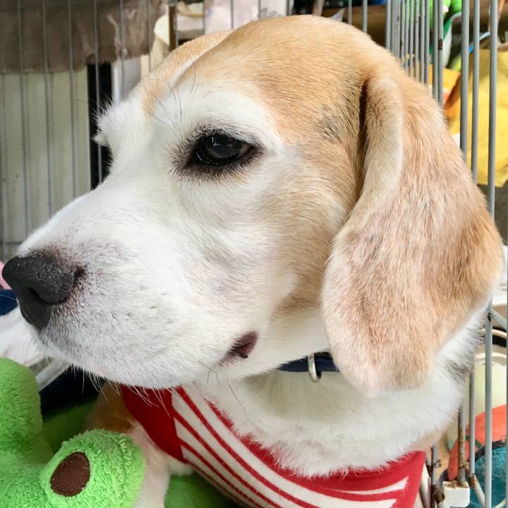 7a43258b 60e7 45a8 9222 7a055f6ba3d0 1562564933569