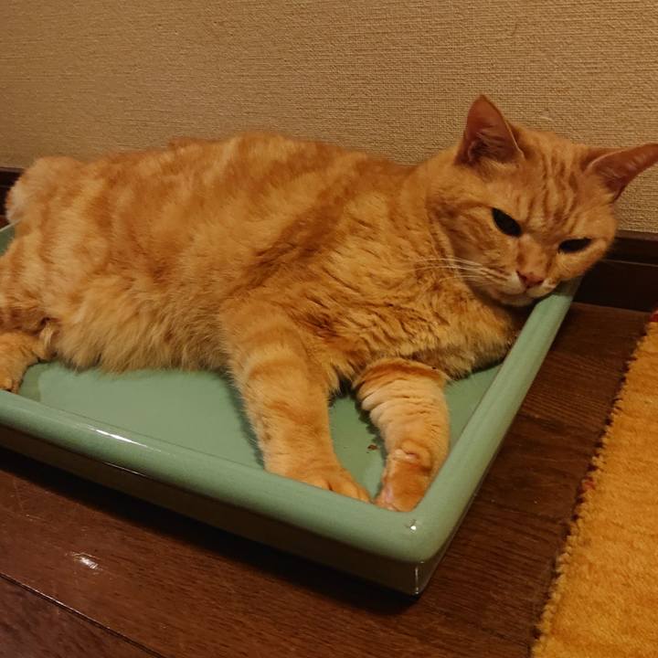 7a433097 a63b 491d 9841 9b8bdcd4650f 1656688639951