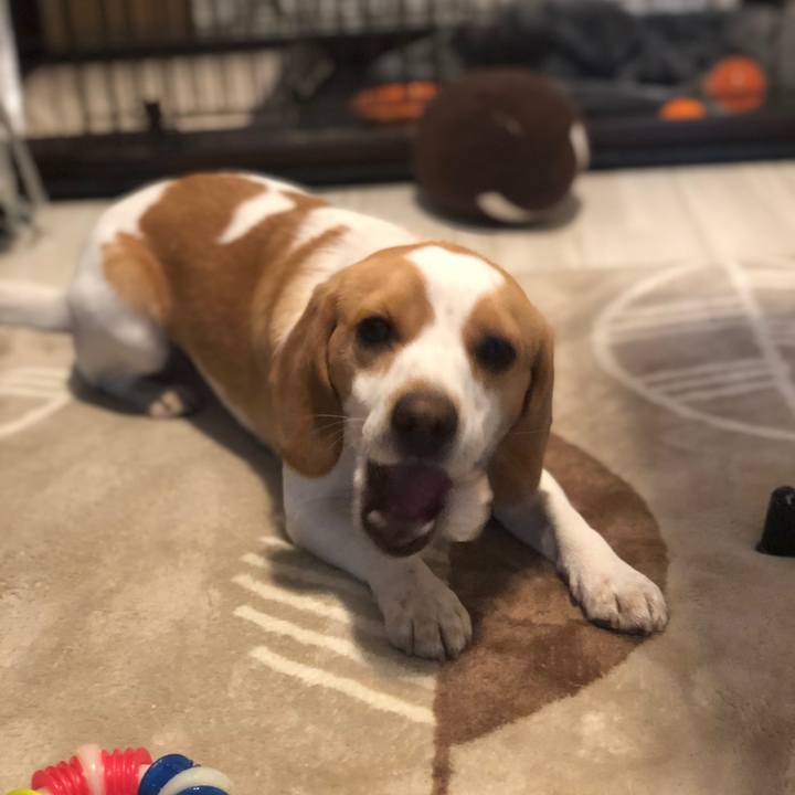 7a4354ab b950 4c5d 80c5 746f887fa095 1552543538800