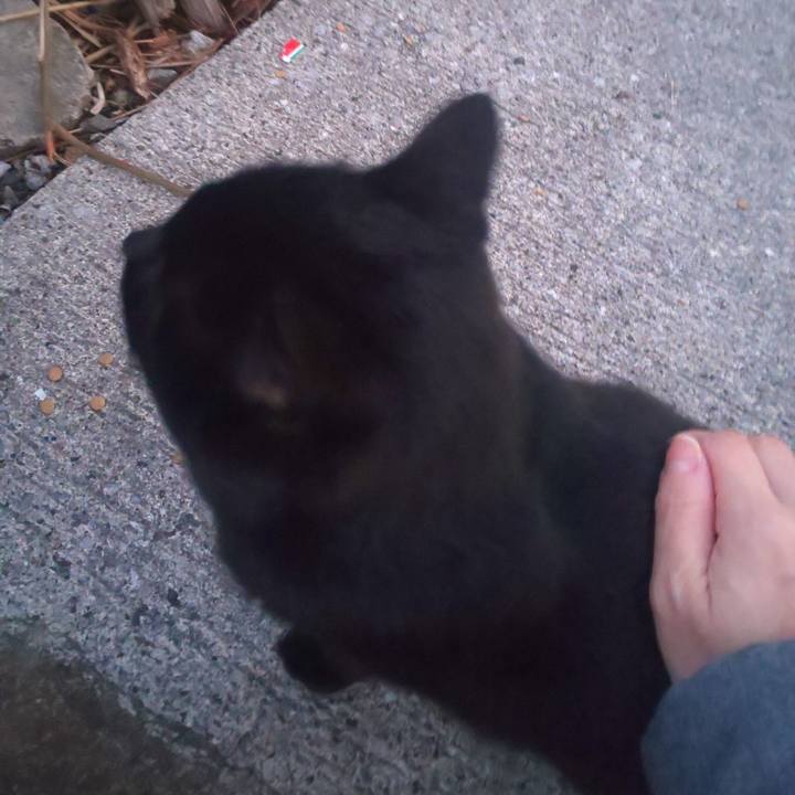 7a438b7f 134e 4e1f a798 11f9272ac428 1644167081500