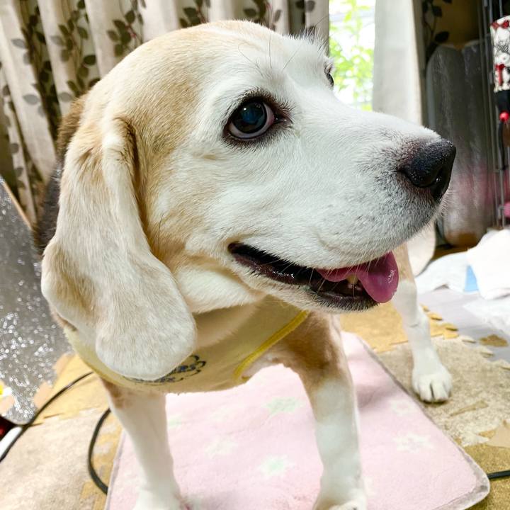 7a439682 0238 4b35 8f99 58cbf4bd24d3 1656829149231