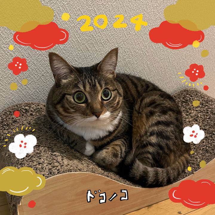 7a43a39f 1385 4ef0 805d 60ec3fd408b8 1704294336254