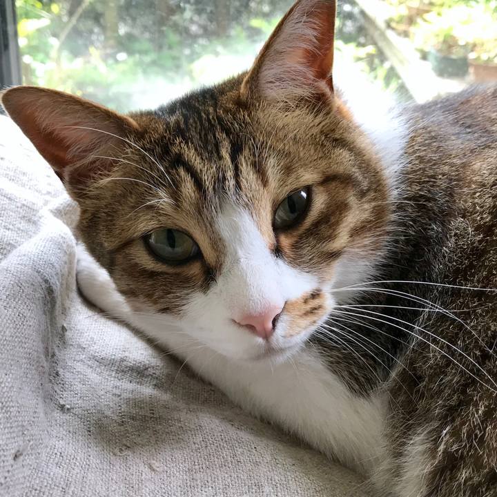 7a43d549 7c1c 4503 bbfb 7324c5b4029d 1526268174074