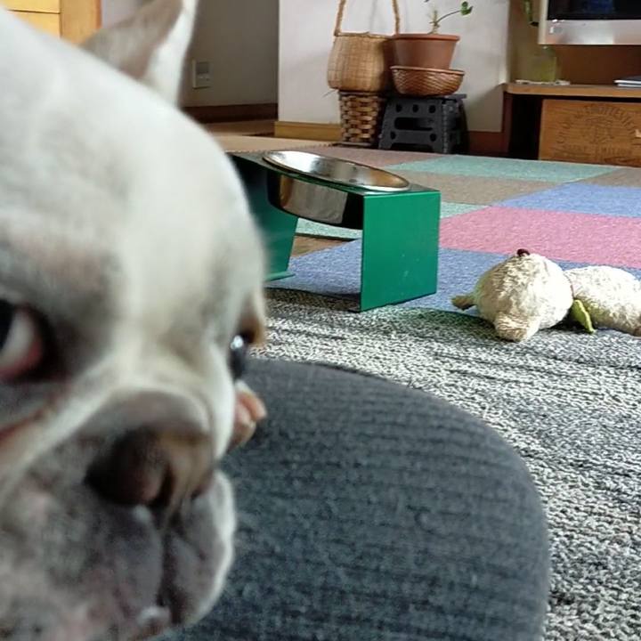 7a44159c 6f86 471c 8550 02ccc955f447 1653518704791