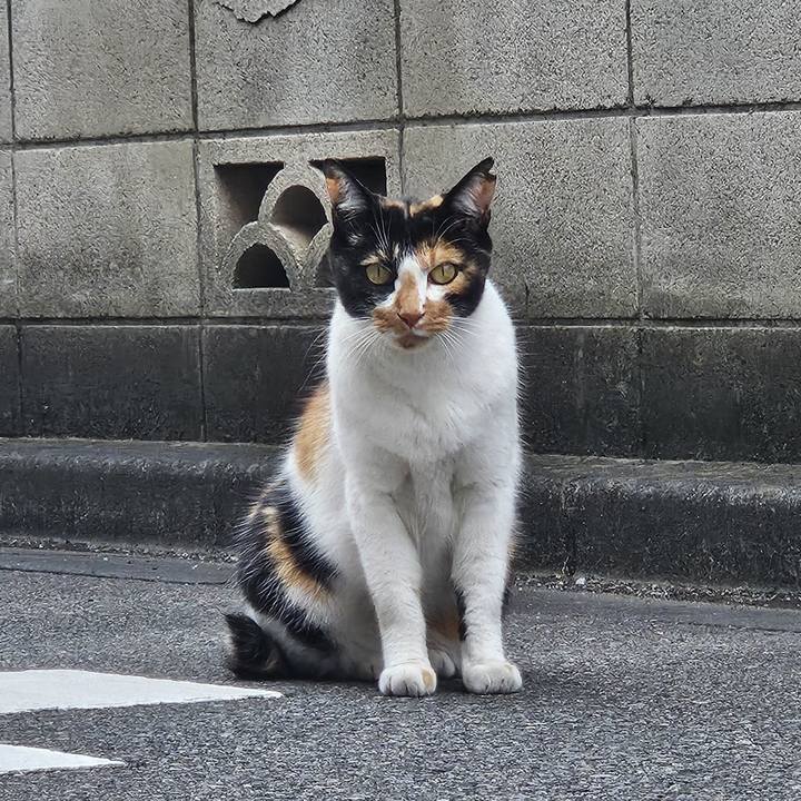 7a442764 db1a 4fe6 9a07 95a15adb2fdb 1759820083073