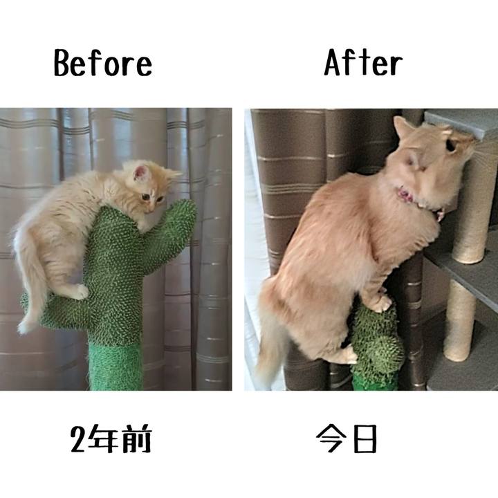 7a44479a 8ddc 4eb9 819a 3f120961099a 1665699037023