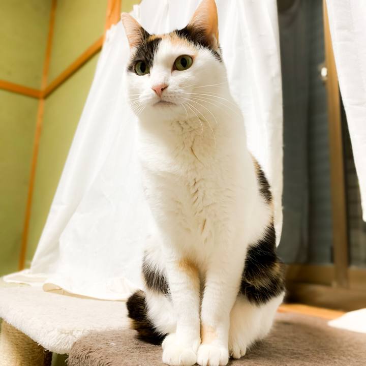 7a4463f4 e319 4720 b26c 15b1f112fed7 1582423606694