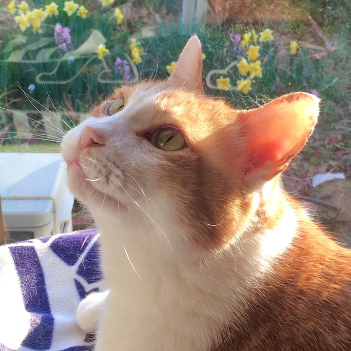 7a448f87 4f83 4ee9 9099 7caf6dda27f7 1586501071782