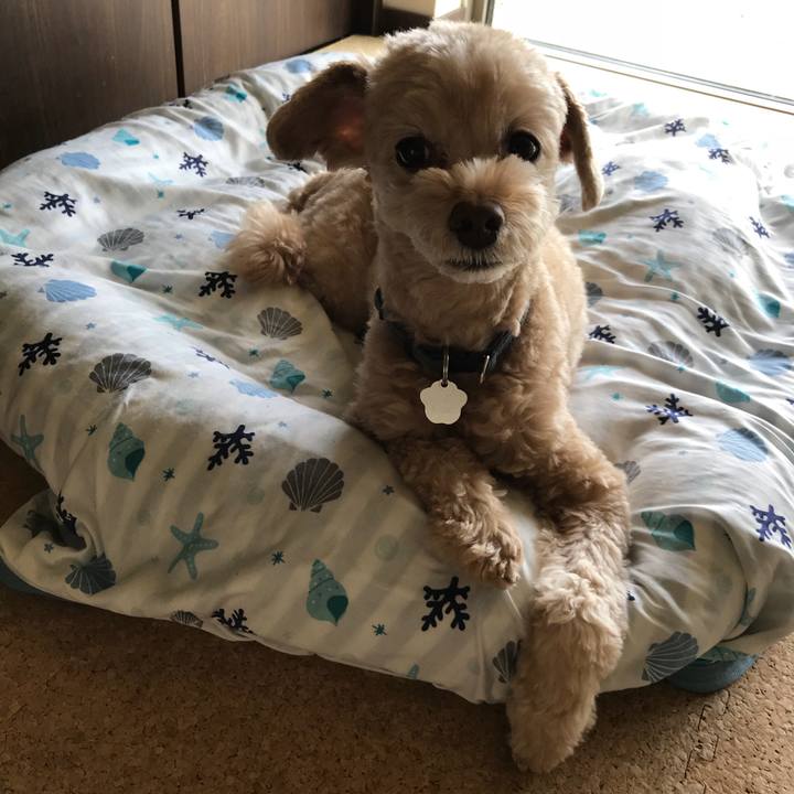 7a44bf86 061f 4bf3 9684 0b6099d404b8 1536986448391