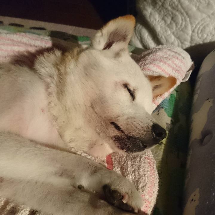 7a44c935 aaac 41d8 b23d cd9cd47344d7 1532650407769