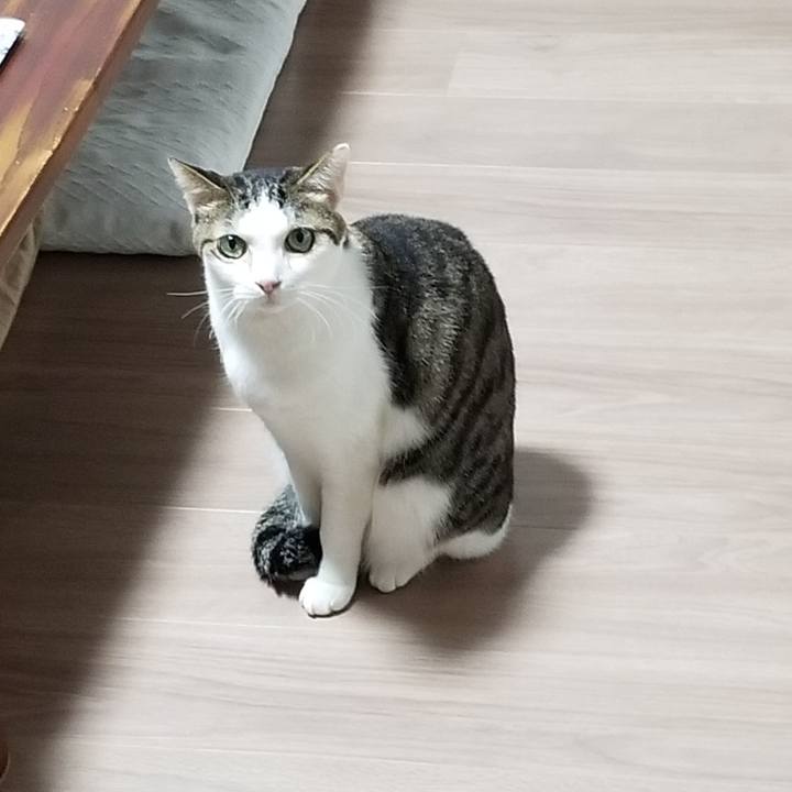 7a44d968 a371 4362 889d edb631b07460 1617312590080