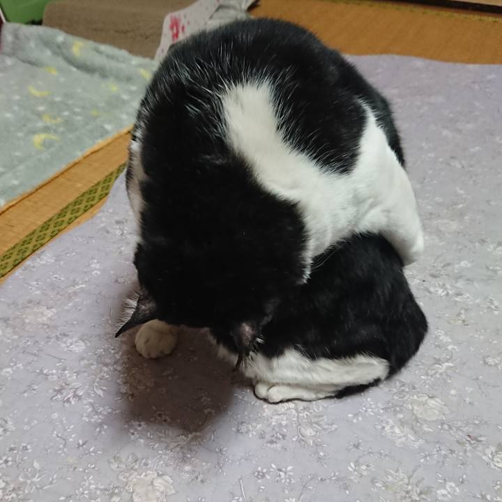 7a44dc0c 09e4 4ec5 ada7 9c0bed655f69 1578266202612