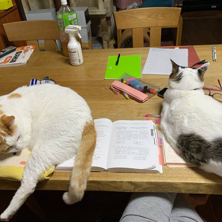 7a45297d 7184 441e a588 40bf0d245411 1625065146584