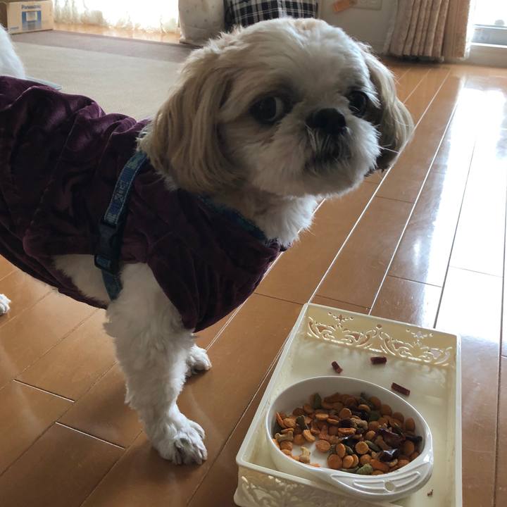 7a4529c9 b35f 4731 8276 767f351eaadf 1530049301501