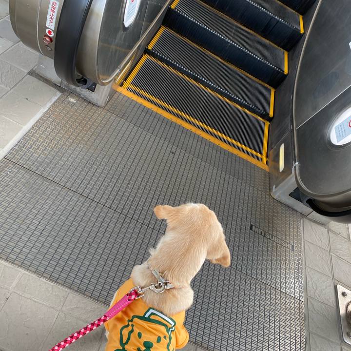 7a4598e4 3c62 49ef 909f b5f39f14d02a 1617254611735