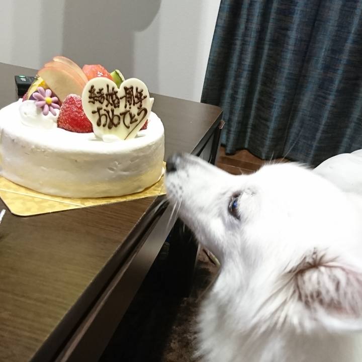 7a45b383 6db0 4b5e a467 fa0c93e28dc0 1535635626154