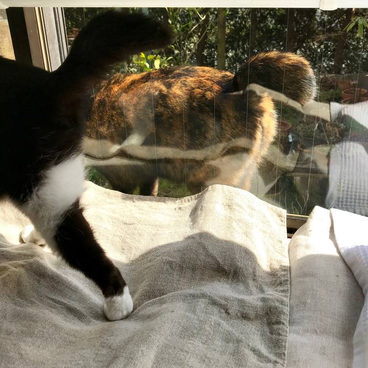 7a461bc9 cd86 4dbe 915b 35a3d7343442 1522126866998