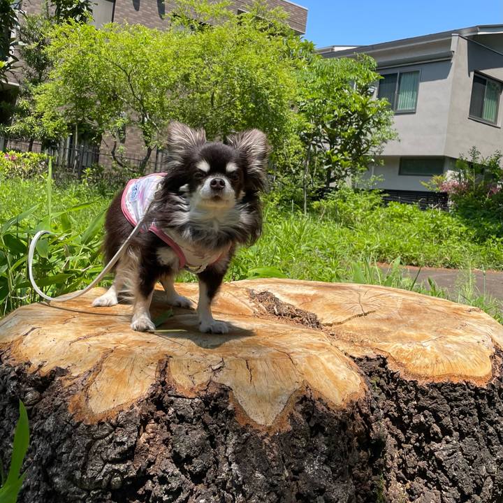 7a46576c e9dd 4526 8e59 71a89a98e26b 1683166956464