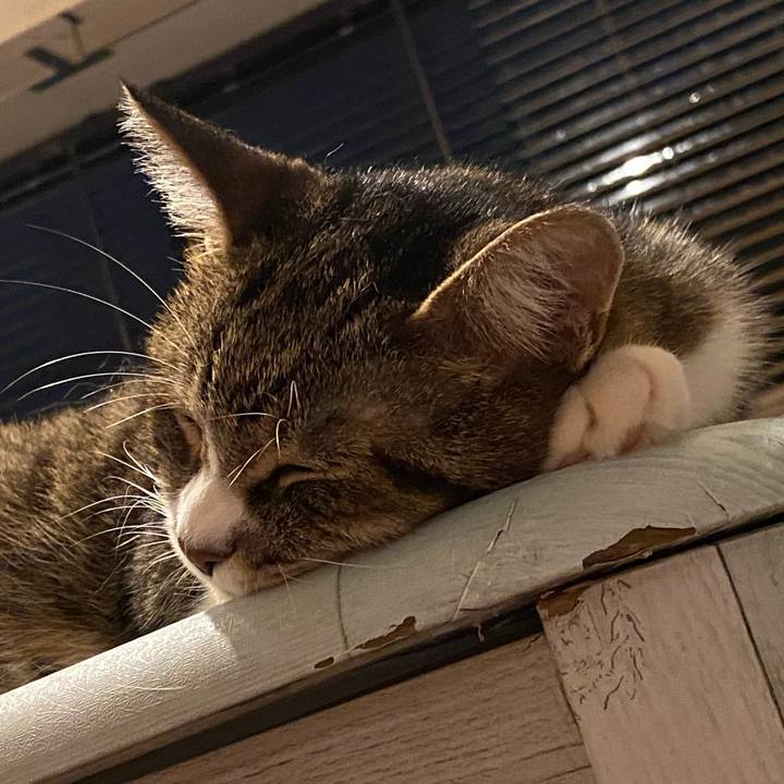 7a465c98 0fe7 49e1 b01e dc785ac15d37 1628898800211