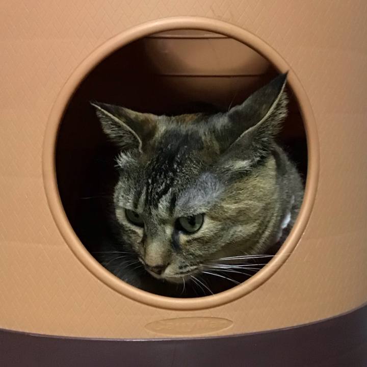 7a46885b d6f2 42d6 8006 cba972218fcc 1745756395059