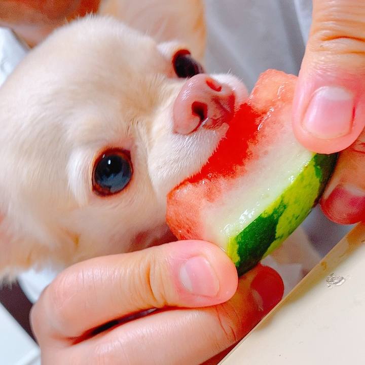 7a469973 26b5 4393 b669 0b308e393ebb 1629981093072