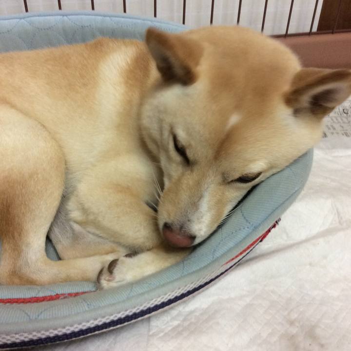 7a46df37 a9cb 4c9f 9387 8e19434666bd 1536155196151