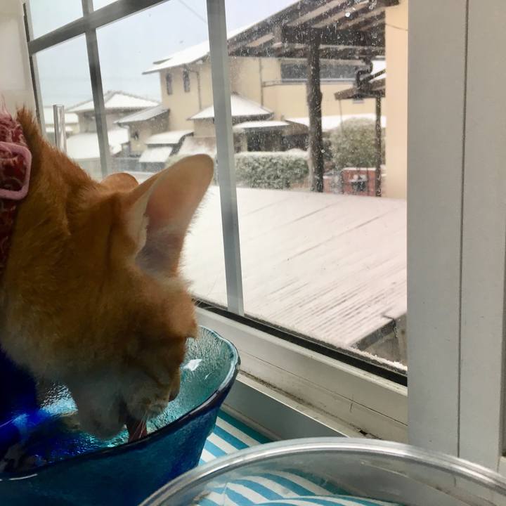 7a46f39a 2407 4606 b4f8 42e77ccb992f 1515712008345