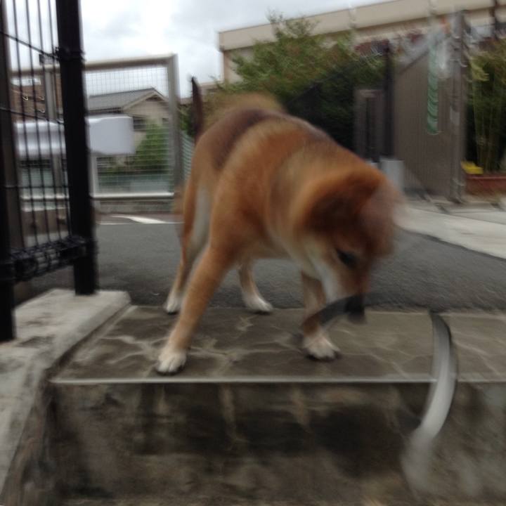 7a46ff12 b7d8 4c11 b87f 756b23a51be0 1536051942097