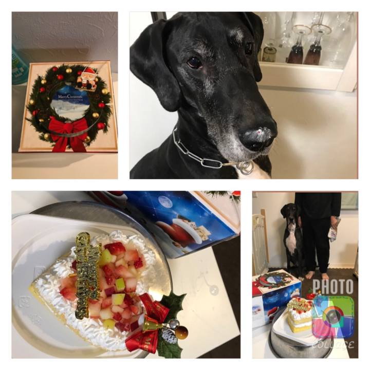 7a47435e e85a 4132 99b6 3d4e050cb4e4 1514111466223