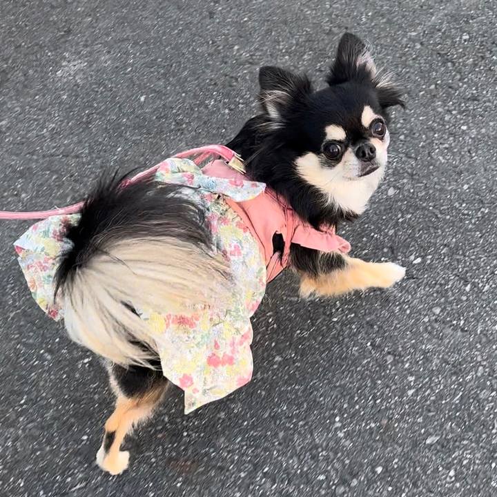 7a474921 cefb 43fd ba84 d09b4a555a97 1664600811738