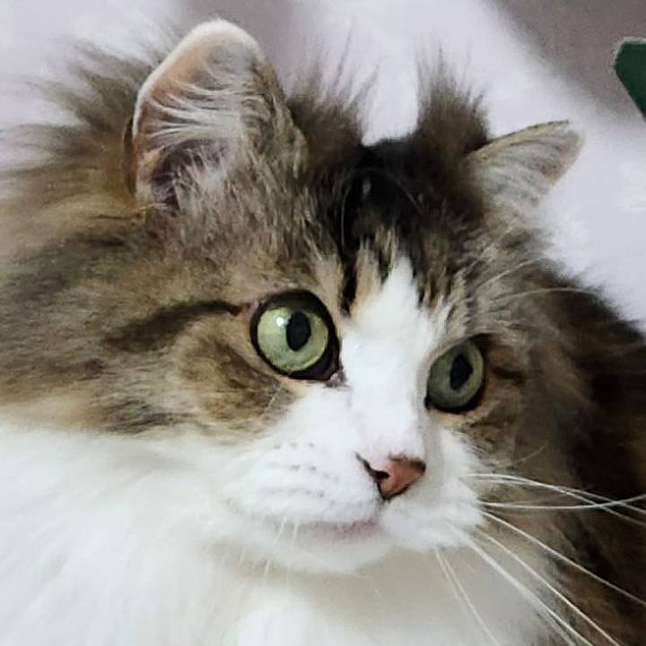 7a477323 08d4 4e92 aaf5 8503dbc845b5 1772882603104