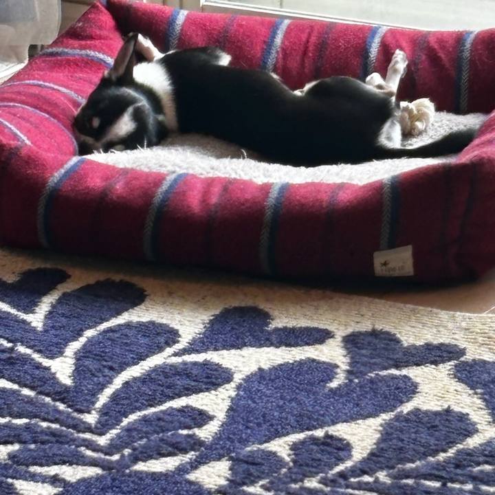 7a477ee6 986e 445e b8e6 ce76fa917a86 1773396261154