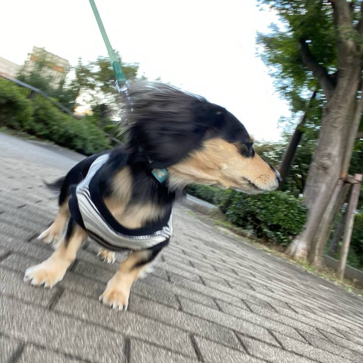 7a47de55 9d45 44e0 a2e7 df115455bc37 1697603100335