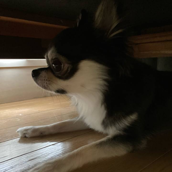 7a4800e7 dd4b 4c68 bc53 15cb2eedd08b 1630819419544