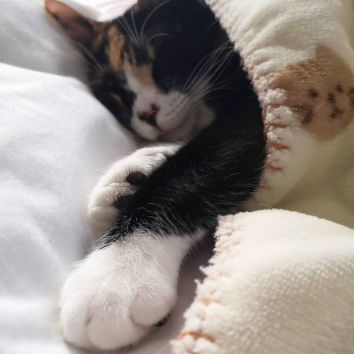 7a4811c7 8d6f 44f0 ab7a ed2166a57c4a 1609835736098