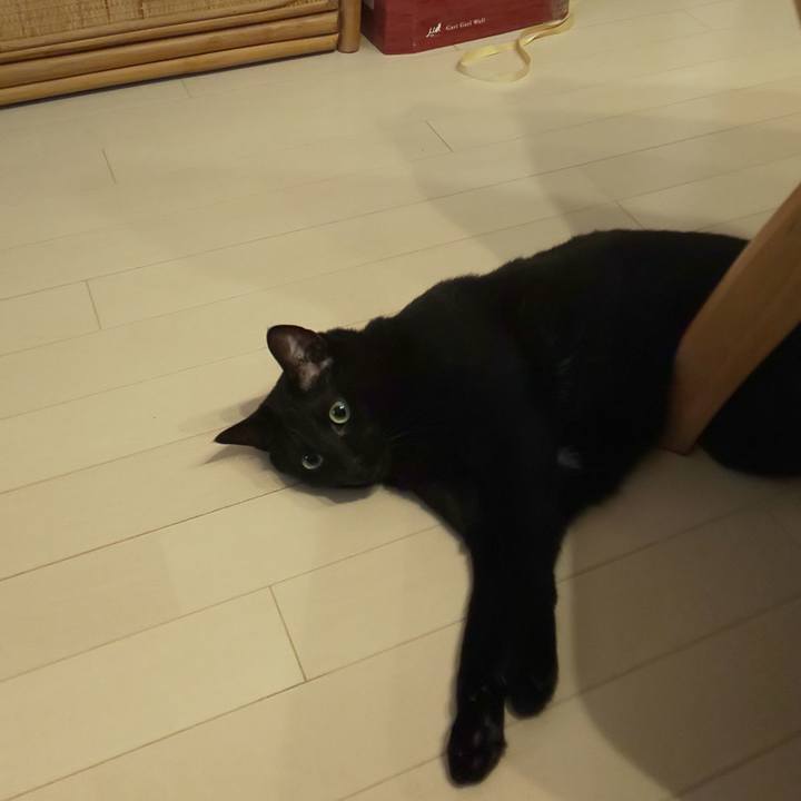 7a481e7b 4ccc 4443 9089 8ce98e0bafbf 1573165601672