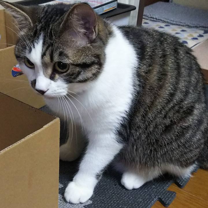 7a48631c b74f 41ca bea8 dd4ce8d341c5 1622300939032