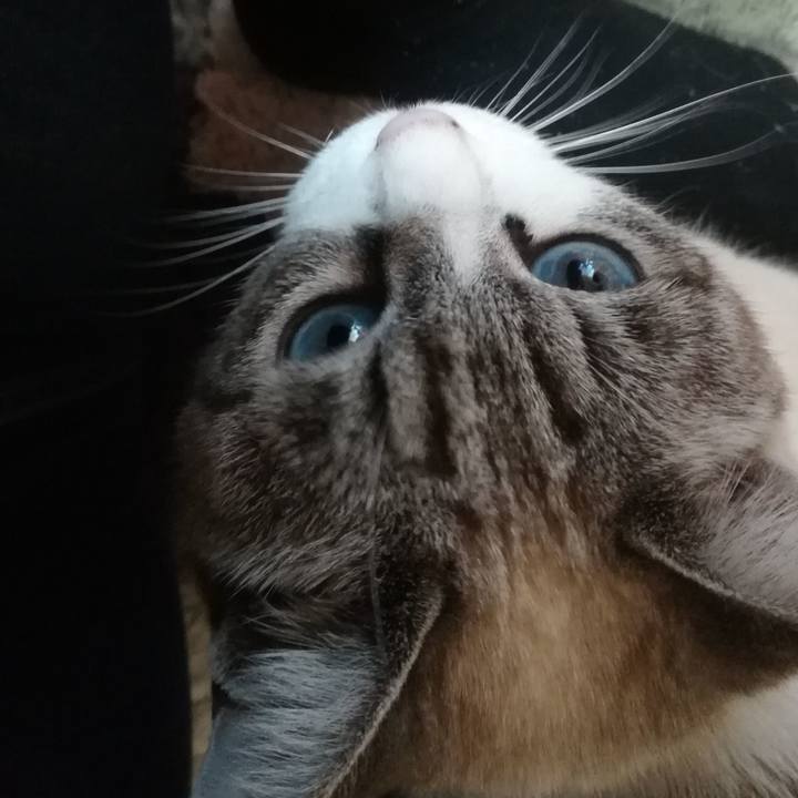 7a487017 af7e 4baf 8ce5 184f21f6eafc 1549007875830