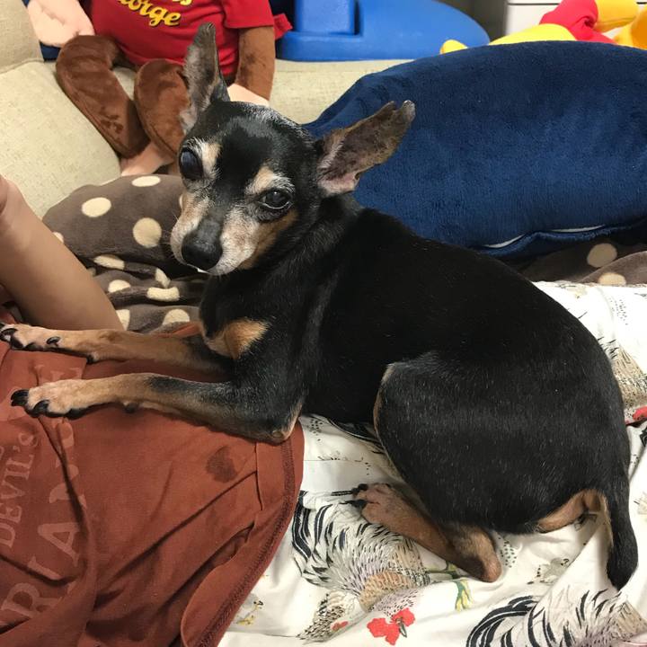 7a48717f 91de 48f1 b4a3 c477be932b0d 1529759840331