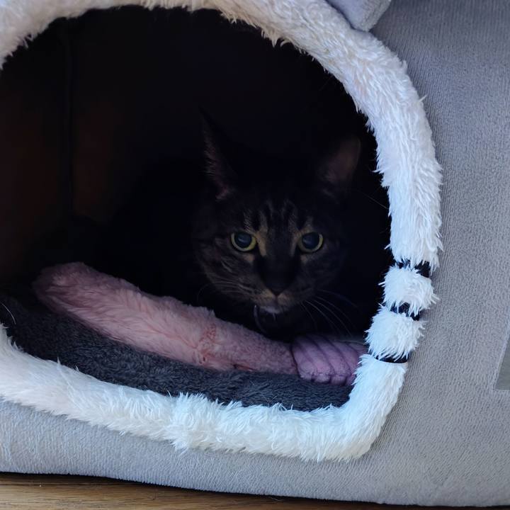 7a4887c0 5197 459e abbd 341f5afa174d 1773972713527