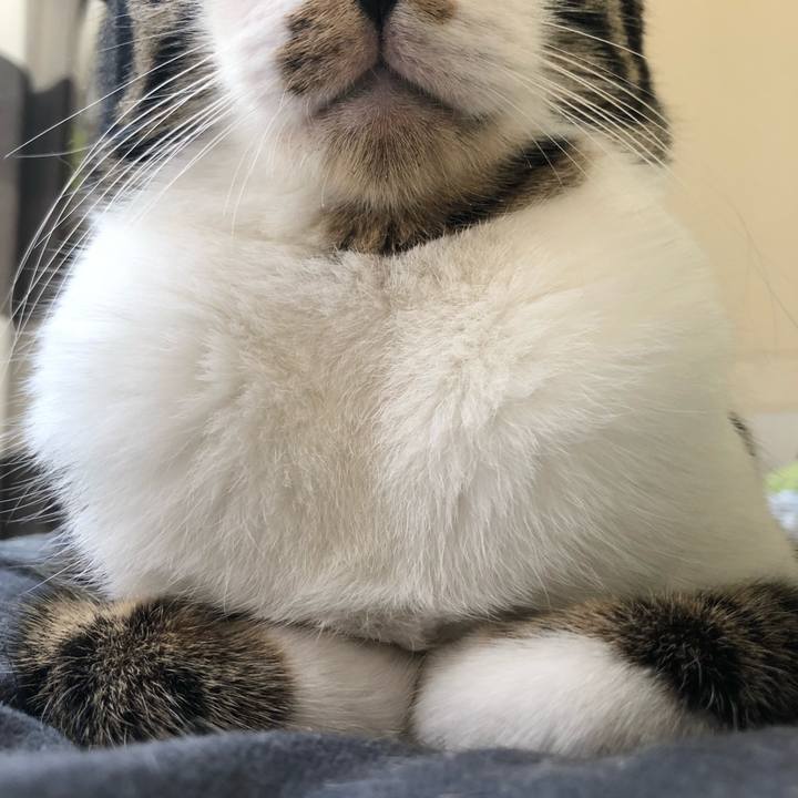 7a488c53 8957 4308 897c 487ab15b99ac 1527913213057